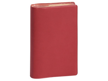 EXACOMPTA Agenda de poche MINI 11, 2026, Duo Kaa assorti