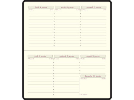 EXACOMPTA Agenda de poche Temporel 16, 2026, Cassandra