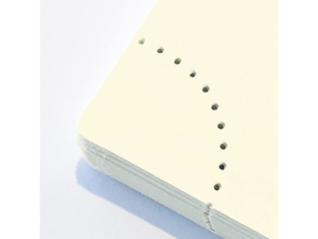 EXACOMPTA Agenda de poche Eurotime 16, 2026, Cassandra