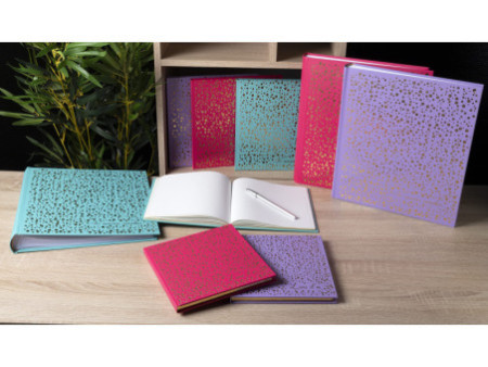 EXACOMPTA Livre d'or Plum, 210 x 190 mm, framboise / doré