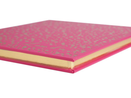 EXACOMPTA Livre d'or Plum, 210 x 190 mm, framboise / doré