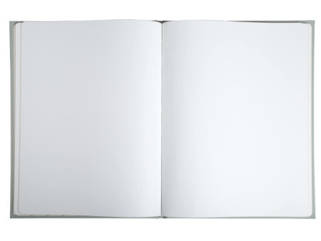 EXACOMPTA Livre d'Or Ellipse, 220 x 270 mm, vert