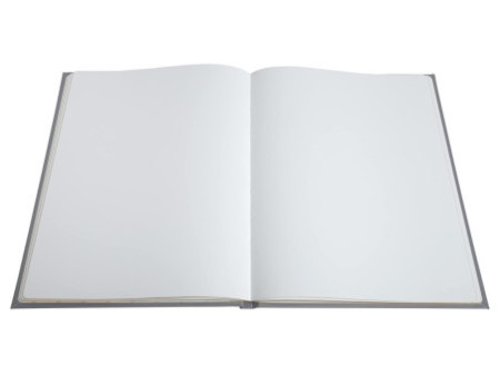 EXACOMPTA Livre d'Or 'Ellipse', 220 x 270 mm, gris
