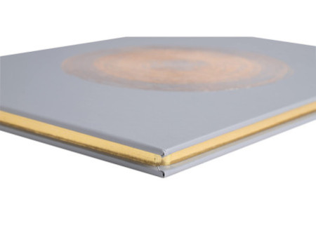 EXACOMPTA Livre d'Or 'Ellipse', 220 x 270 mm, gris