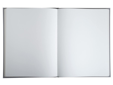 EXACOMPTA Livre d'Or 'Ellipse', 220 x 270 mm, gris