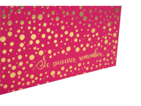 EXACOMPTA Album photos Plum, 250 x 250 mm, framboise/doré