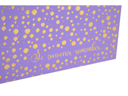 EXACOMPTA Album photos Plum, 250 x 250 mm, violet/doré