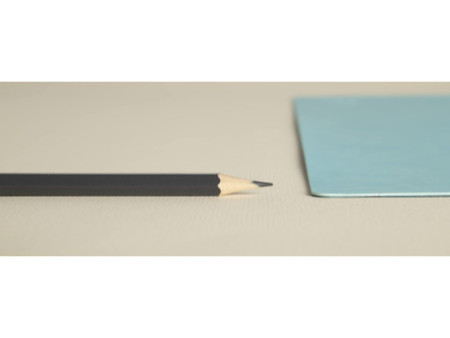 EXACOMPTA Sous-mains, 400 x 800 mm, tropique / canard