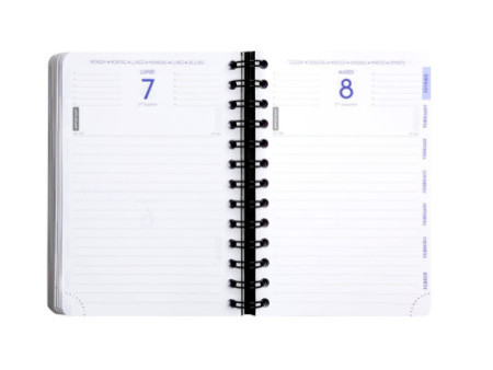 EXACOMPTA Agenda scolaire Forum Linicolor, 2025/2026, bleu