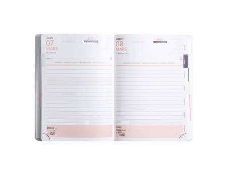 EXACOMPTA Agenda scolaire SOFT HARMONY, 2025/2026, assorti