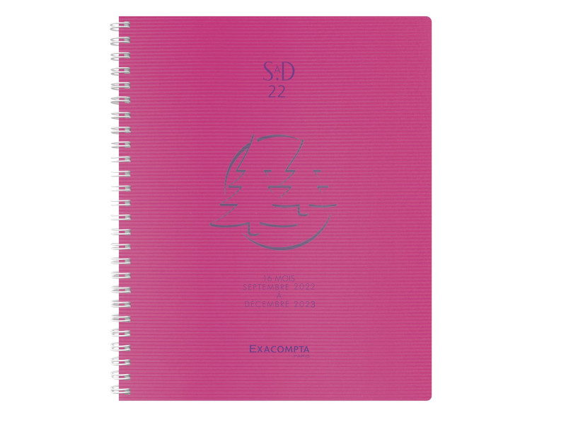 EXACOMPTA Agenda de bureau SAD 22S, 2025/2026, 16 mois