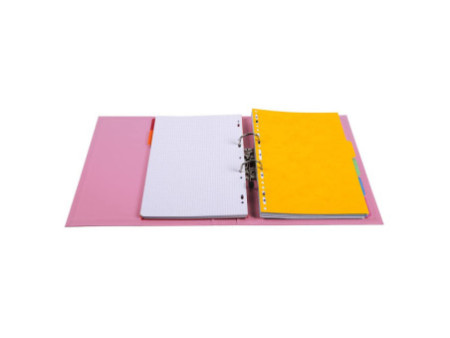 EXACOMPTA Classeur à levier PVC Premium, A4, 50 mm, rose