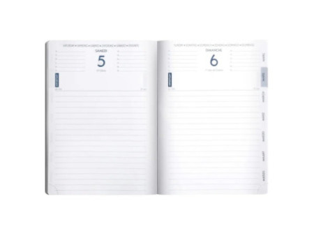 EXACOMPTA Agenda scolaire MANGA, 2025/2026, Chat