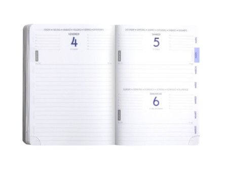Clairefontaine Agenda scolaire SAMOURAI, 2025/2026, Geisha