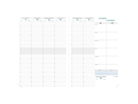EXACOMPTA Agenda de bureau 'Consultations 29', 2026, noir