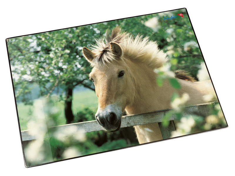 Läufer Sous-main cheval à la clôture, 400 x 530 mm