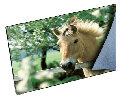 Läufer Sous-main cheval à la clôture, 400 x 530 mm