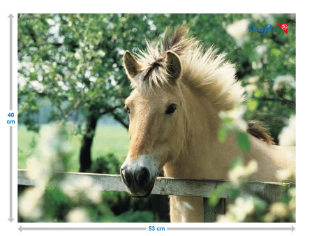 Läufer Sous-main cheval à la clôture, 400 x 530 mm