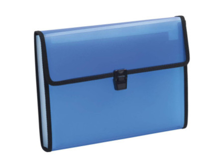 EXACOMPTA Trieur valisette Chromaline, 13 compartiments