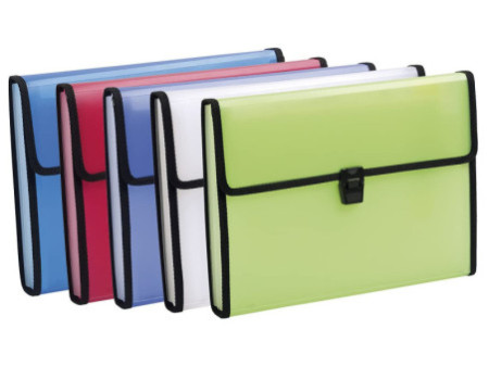 EXACOMPTA Trieur valisette Chromaline, 13 compartiments