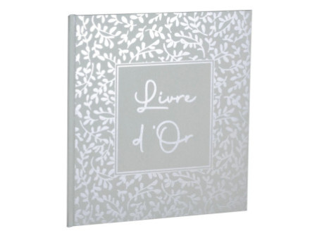 EXACOMPTA Livre d'Or AutentiK, 190 x 210 mm, vert sauge