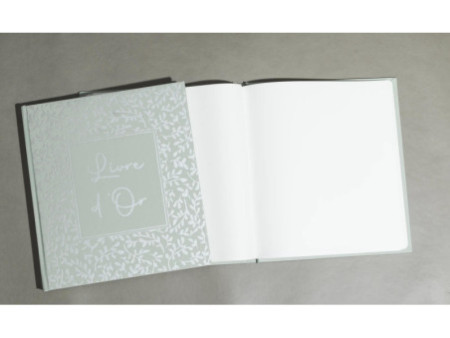 EXACOMPTA Livre d'Or AutentiK, 190 x 210 mm, vert sauge