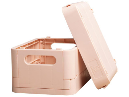 EXACOMPTA Boîte de rangement Smart Case Mini, nude