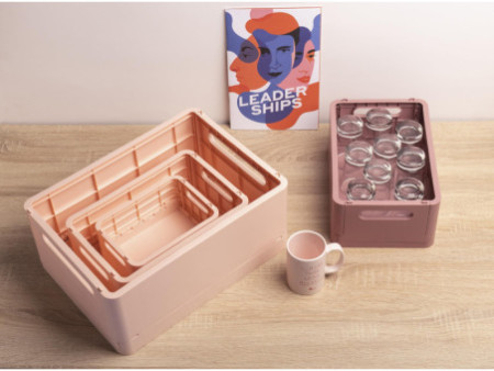 EXACOMPTA Boîte de rangement Smart Case Mini, nude