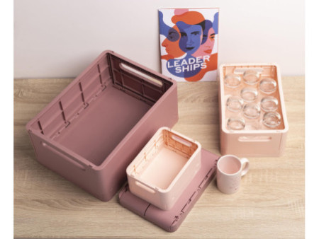 EXACOMPTA Boîte de rangement Smart Case Midi, vieux rose