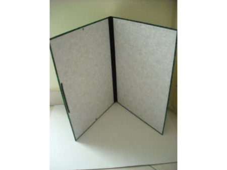 EXACOMPTA Carton à dessin Annonay, 320 x 450 mm, vert