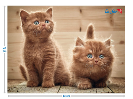 Läufer Sous-main 'chats fouineurs', 400 x 530 mm