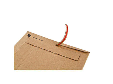 ColomPac Carton d'expédition pour bouteilles CP181, pour 1