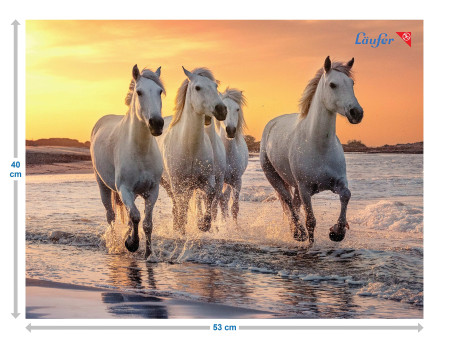 Läufer Sous-main Chevaux sur la plage, 400 x 530 mm