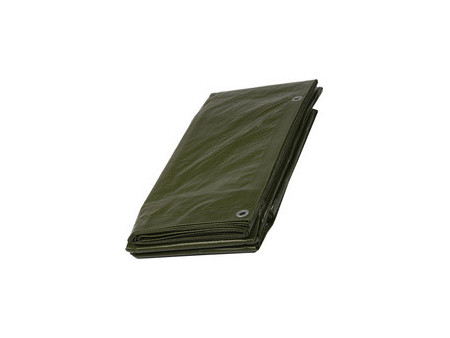 dm-folien Bâche de recouvrement, 10 x 12 m, vert, 150 g