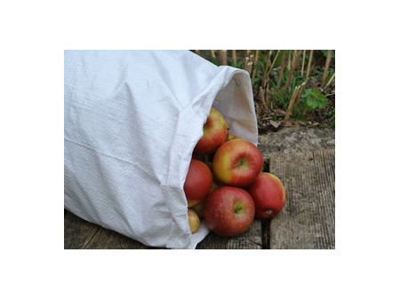 dm-folien Sac de ramassage en PP, (L)400 x (H)600 mm, blanc