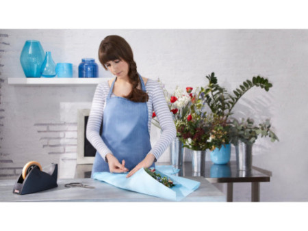 tesa Dévidoir de bureau Easy Cut Professional, rouge / bleu