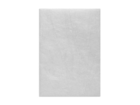 Tyvek Pochettes d'expédition C5, sans fenêtre, 55 g/m2