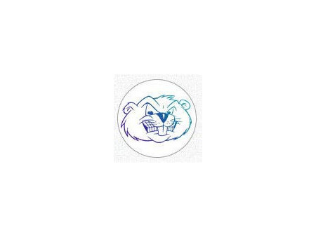 CEDERROTH Pansement 'Soft Foam Bandage', bleu
