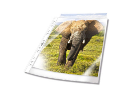 DURABLE Pochette perforée, A4, PP, 0,05 mm, transparent
