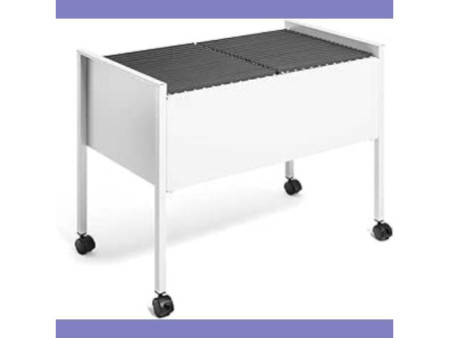 DURABLE Chariot pour dossiers suspendus 'Economy 100 DUO'