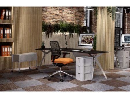 DURABLE Chariot pour dossiers suspendus 'Economy 100 DUO'