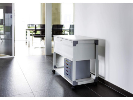 DURABLE Chariot pour dossier suspendus SYSTEM File Trolley