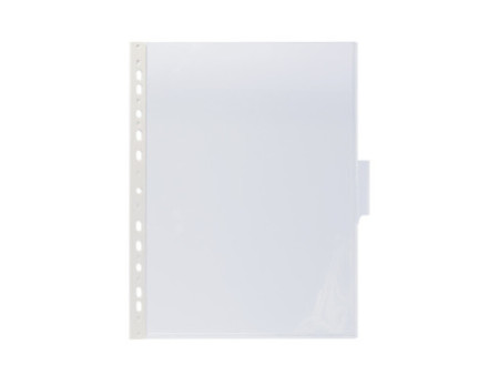 DURABLE Plaque pochette FUNCTION, A4, transparent