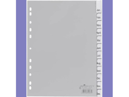 DURABLE Intercalaires mensuels plastique, A4, 12 pièces,gris