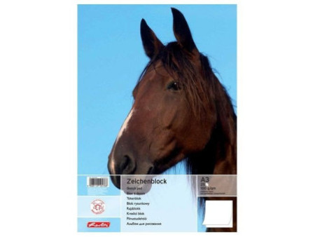 herlitz Bloc à dessin A3, 100 g/m2, 25 feuilles