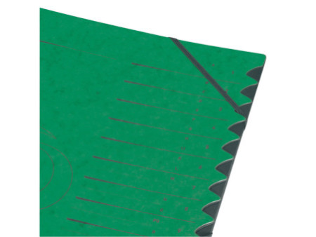 herlitz Trieur easyorga, A4, carton, 12 compartiments, vert
