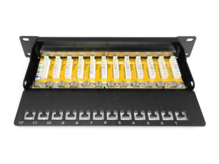 DIGITUS Panneau de brassage Cat.6, classe E, 12 x RJ45, 1U