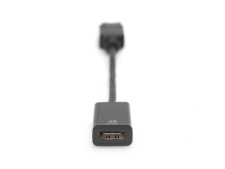 DIGITUS Adaptateur DisplayPort / convertisseur, 0,2 m