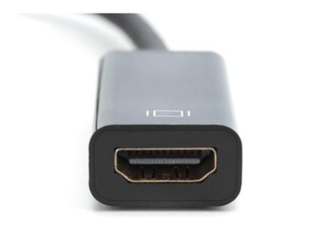 DIGITUS Adaptateur, DisplayPort - HDMI A femelle