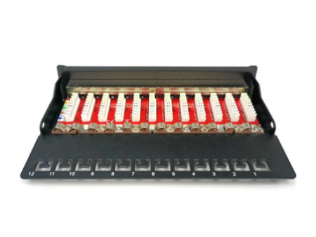 DIGITUS Panneau de brassage bureau Cat.6A, classe EA, 12